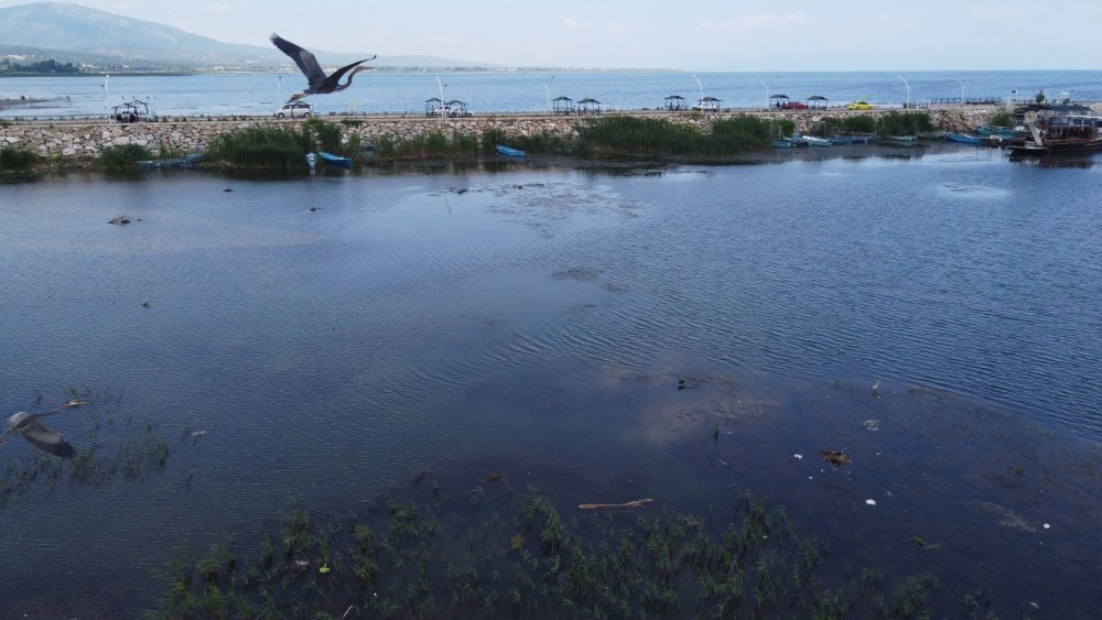 Konya Beyşehir Gölü’nde su seviyesi azaldı! Yat işletmecileri tedirgin