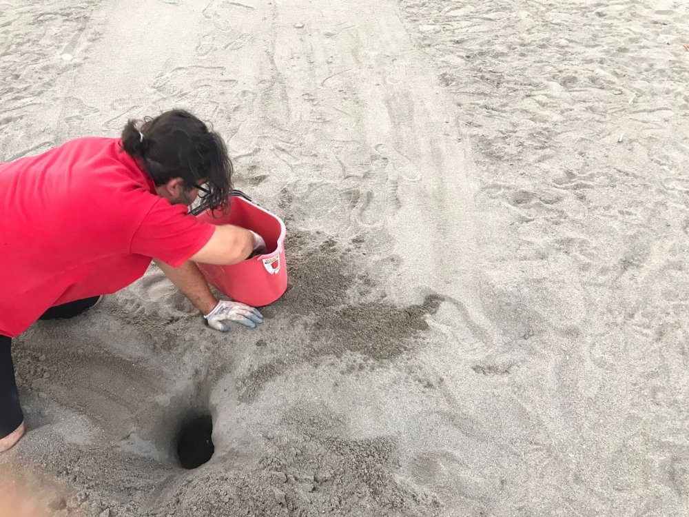 Turizm sezonunu açan Antalya'da hayvanlara sahilde yer yok