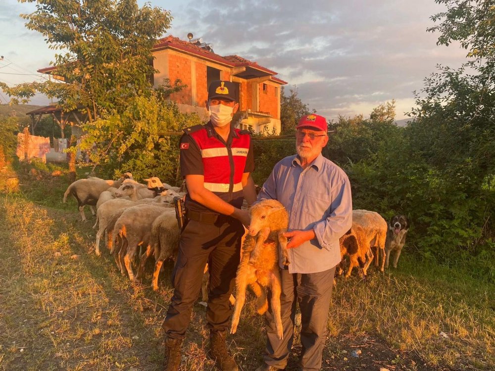 Hayvanları çalınan yaşlı adamın imdadına jandarma yetişti! Drondan kaçamadılar