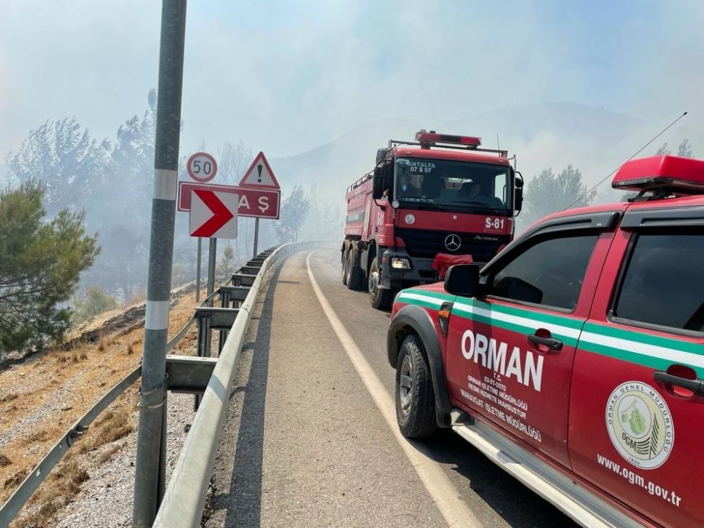 Konya - Antalya yolunda atılan izmarit 20 hektar ormanı yaktı! Araçlar yolda kaldı