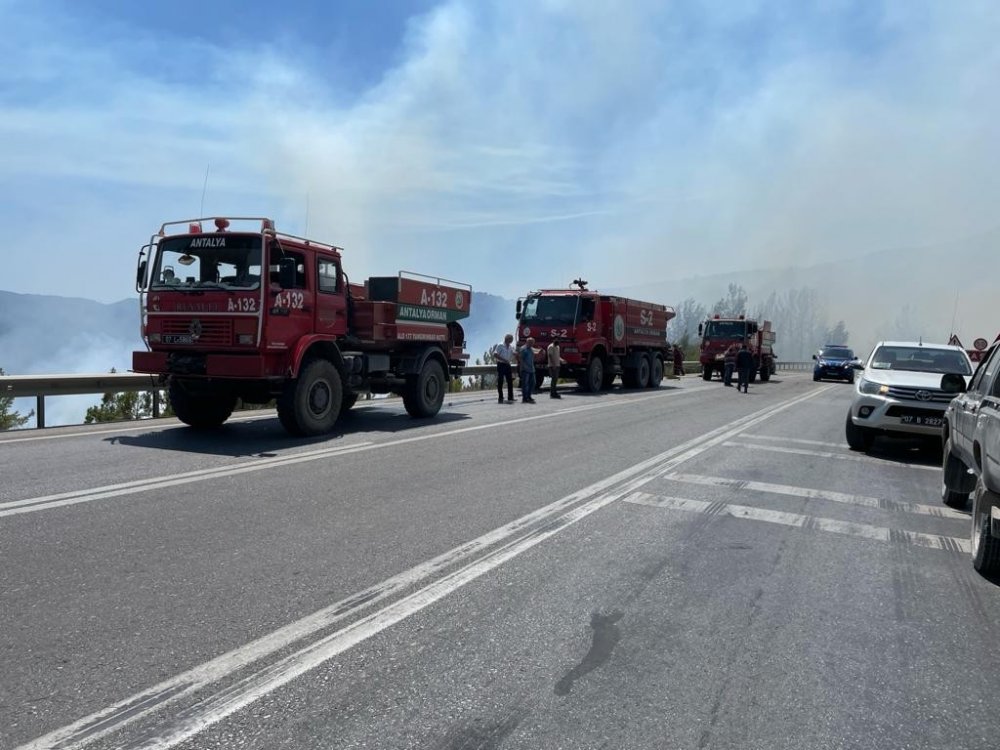 Konya - Antalya yolunda atılan izmarit 20 hektar ormanı yaktı! Araçlar yolda kaldı