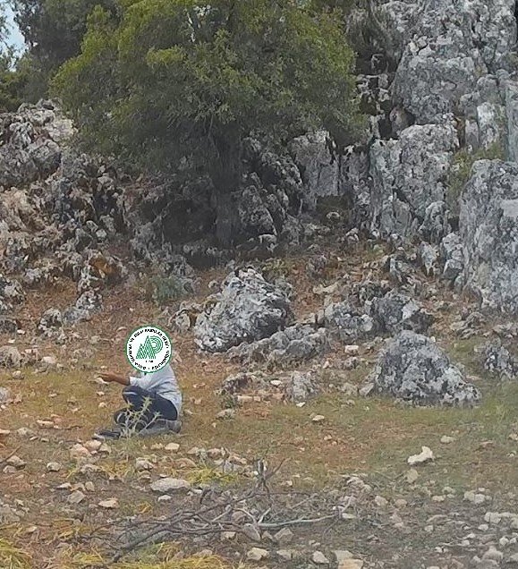 Konya'da yasa dışı göl soğanı söken şahsa 80 bin 465 TL ceza