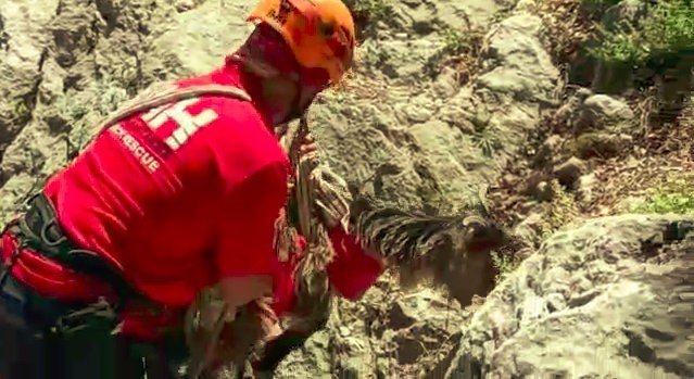 Serik'te 10 gündür kayıp olan keçiler için kurtarma operasyonu