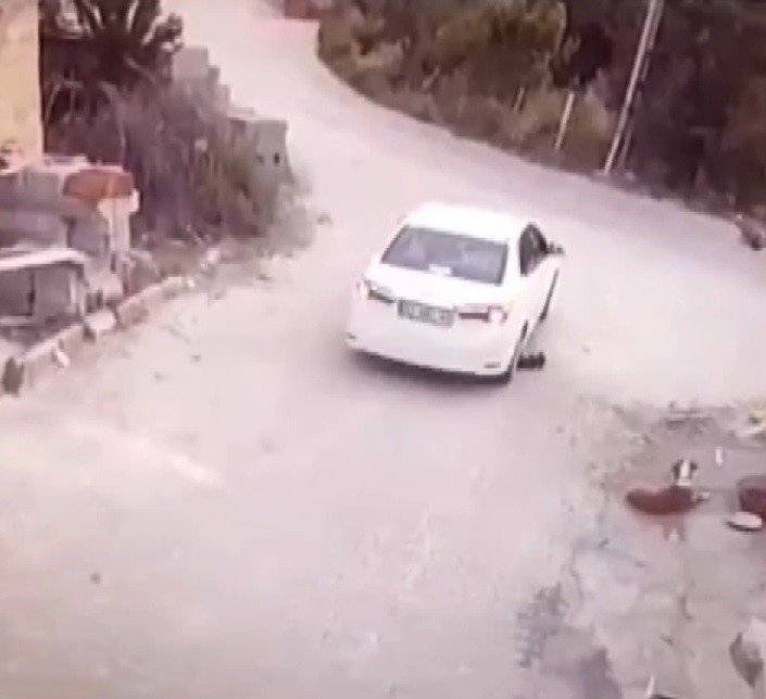 Konya'da yavru köpeğin üzerinden geçen sürücü kameraya yakalandı