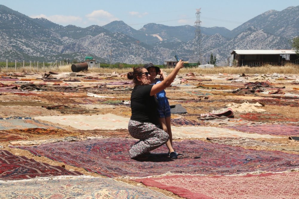 Antalya'da halı mevsimi başladı! Buğday tarlalarında büyük şölen
