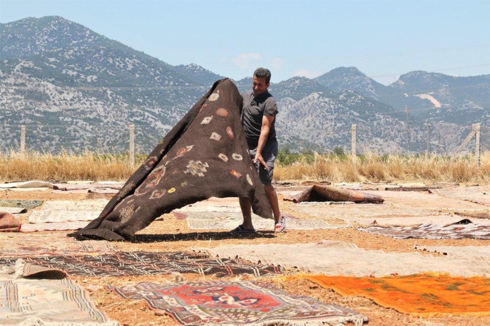 Antalya'da halı mevsimi başladı! Buğday tarlalarında büyük şölen