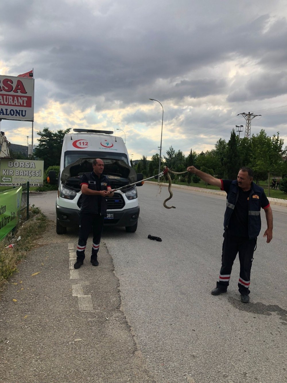 Afyon'da ambulanstan çıkan yılan dehşete düşürdü