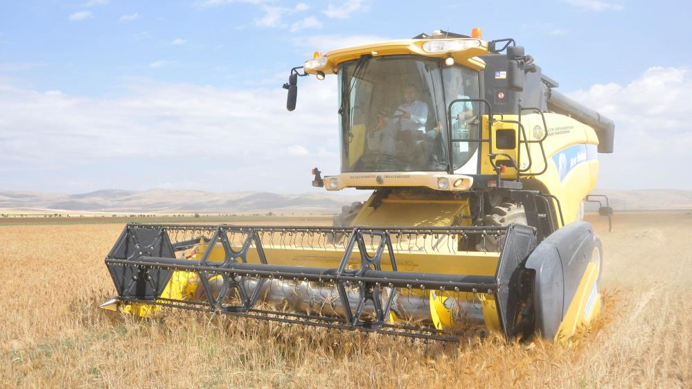 SÜ Rektörü Aksoy Sarıcalar Çiftliği'nde buğday hasadını başlattı