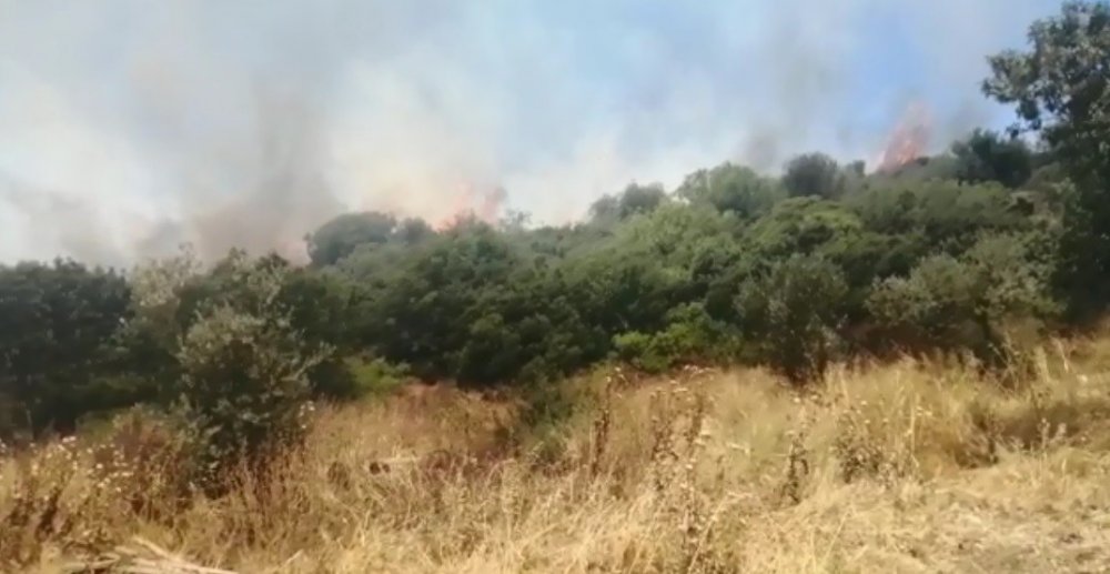 İzmir’de yangın paniği! Havadan ve karadan müdahale sürüryor