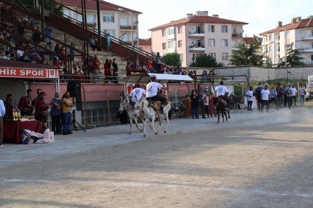 Konya'nın eşekleri yarıştı! Jüri en güzel gözlü eşeği seçmekte zorlandı
