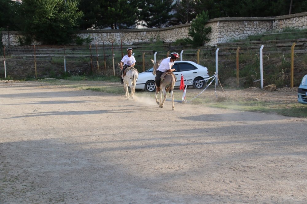 Konya'nın eşekleri yarıştı! Jüri en güzel gözlü eşeği seçmekte zorlandı