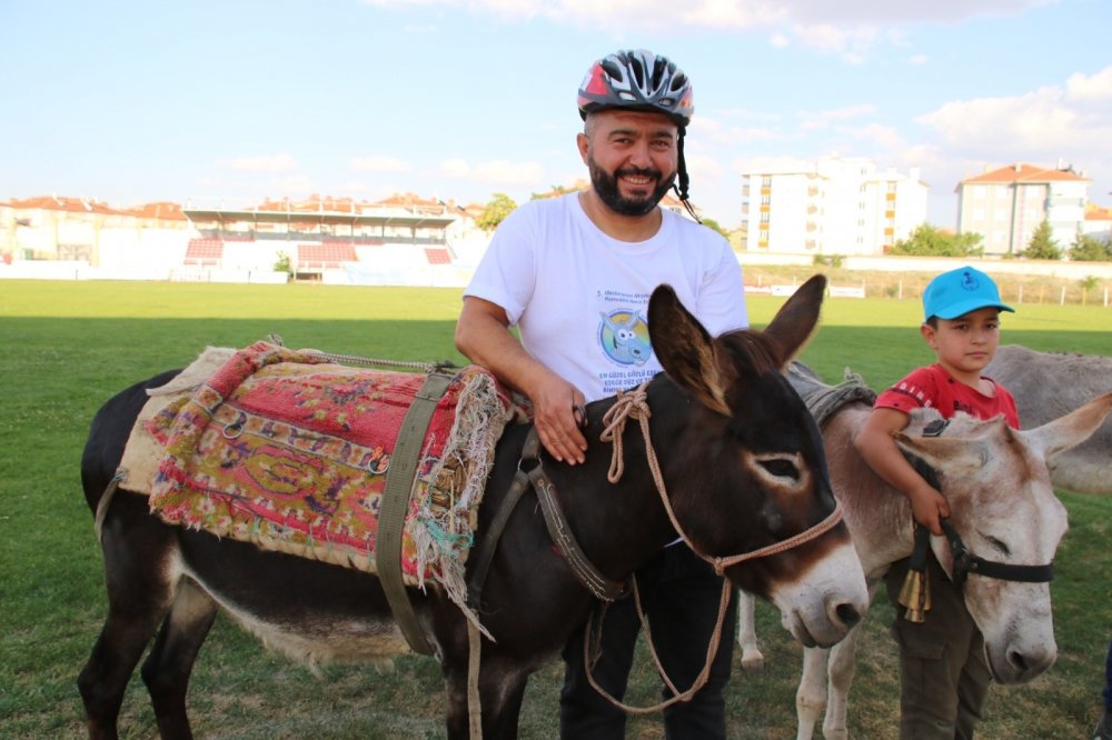 Konya'nın eşekleri yarıştı! Jüri en güzel gözlü eşeği seçmekte zorlandı