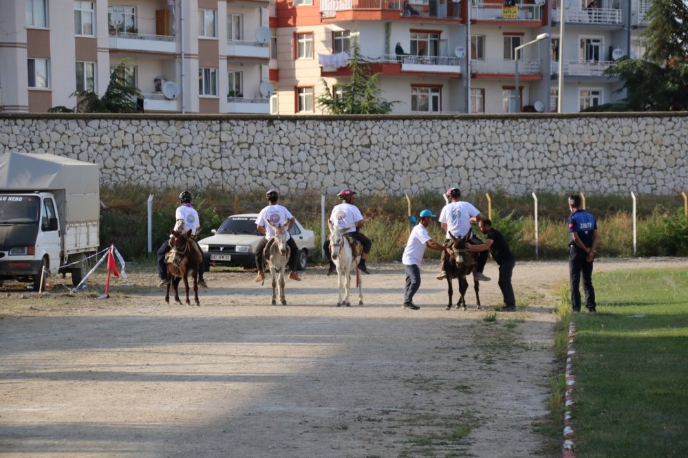Konya'nın eşekleri yarıştı! Jüri en güzel gözlü eşeği seçmekte zorlandı