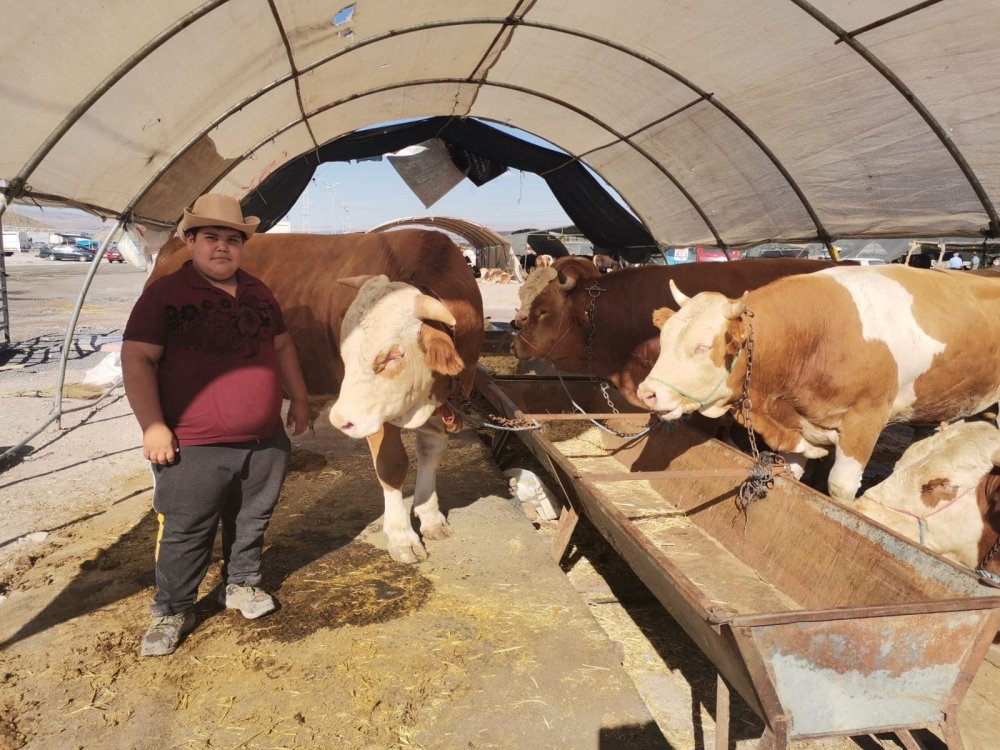 110 bin metrekarelik alana kurulu Kayseri Kurban Pazarı'nda bayram hareketliliği devam ediyor