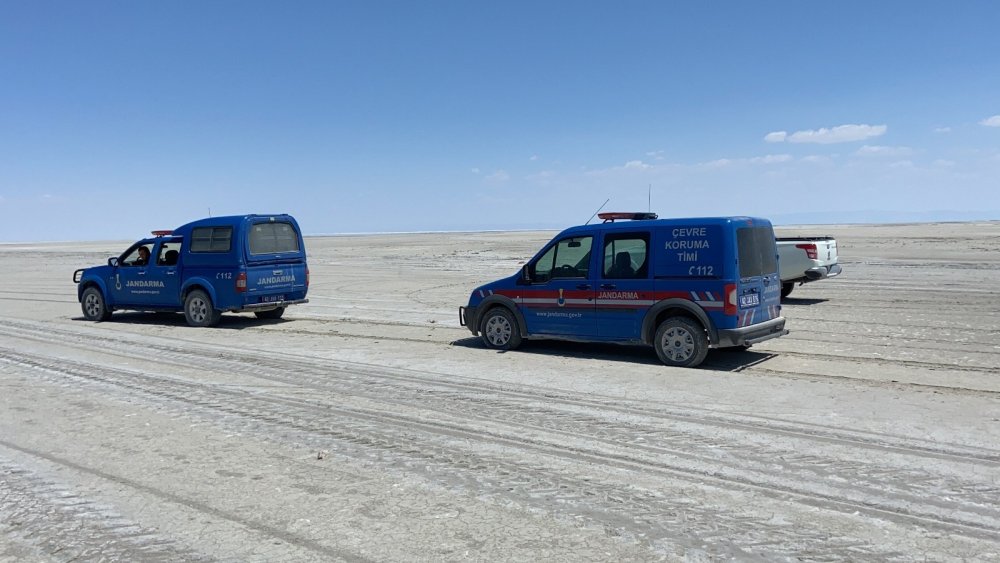 Konya Tuz Gölü sınırındaki flamingo ölümlerine inceleme başlatıldı