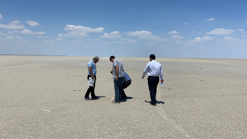Konya Tuz Gölü sınırındaki flamingo ölümlerine inceleme başlatıldı