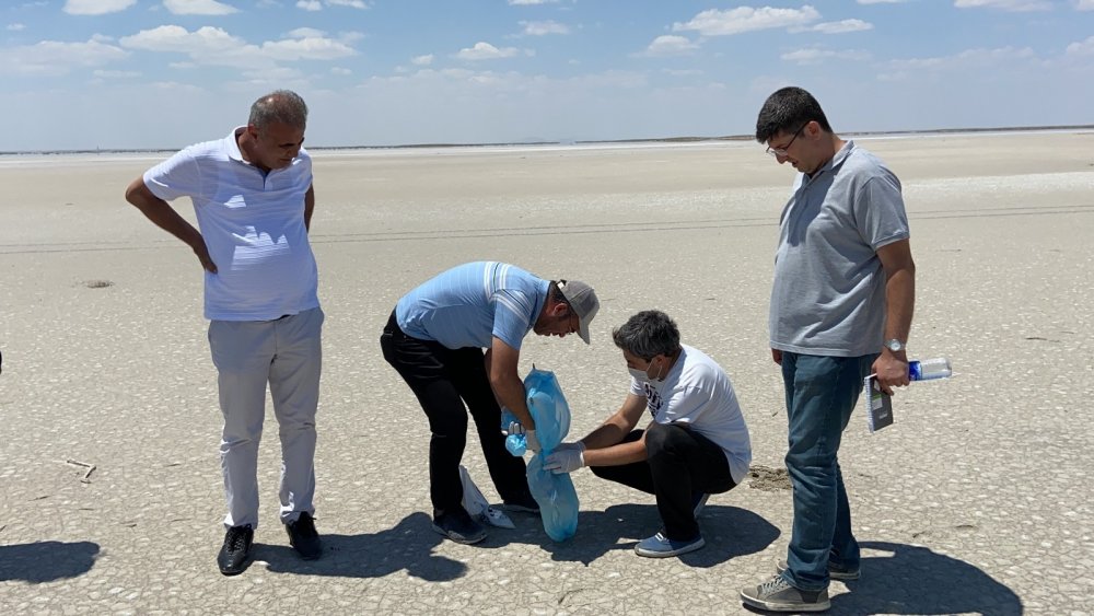 Prof. Darılmaz'dan flamingo ölümlerine dair ilginç detay! Pandemi nüfusu artırdı