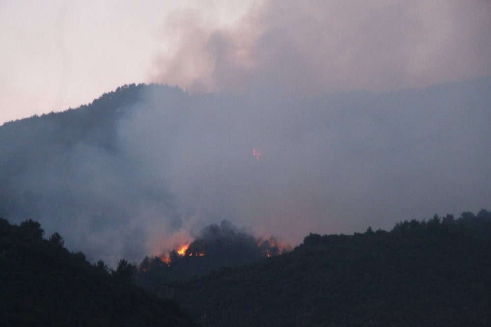 Amanos dağlarında 2 gündür farklı noktalarda süren orman yangınına müdahale sürüyor