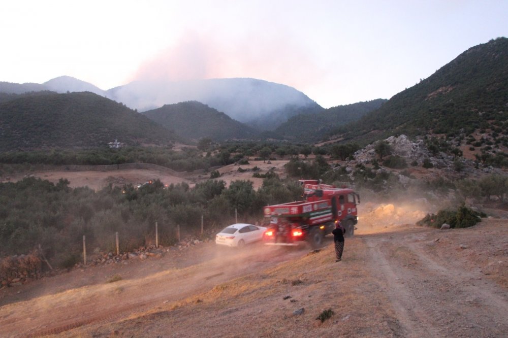 Amanos dağlarında 2 gündür farklı noktalarda süren orman yangınına müdahale sürüyor