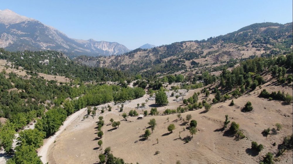 Konyaaltı'nda köylüler tehdit ve darpla ’Arazimize çökmek istiyorlar’ deyip sokağa döküldü