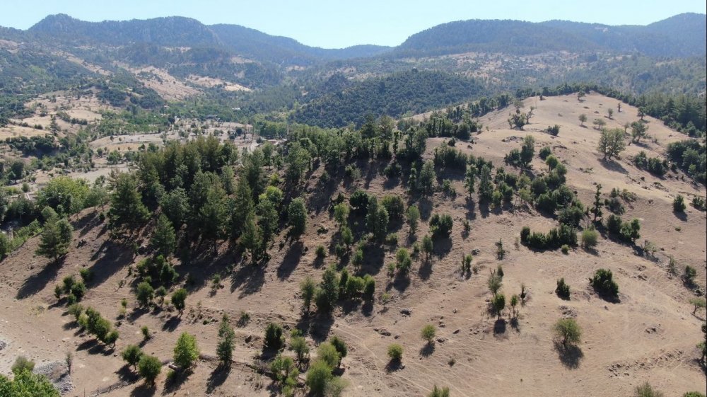 Konyaaltı'nda köylüler tehdit ve darpla ’Arazimize çökmek istiyorlar’ deyip sokağa döküldü