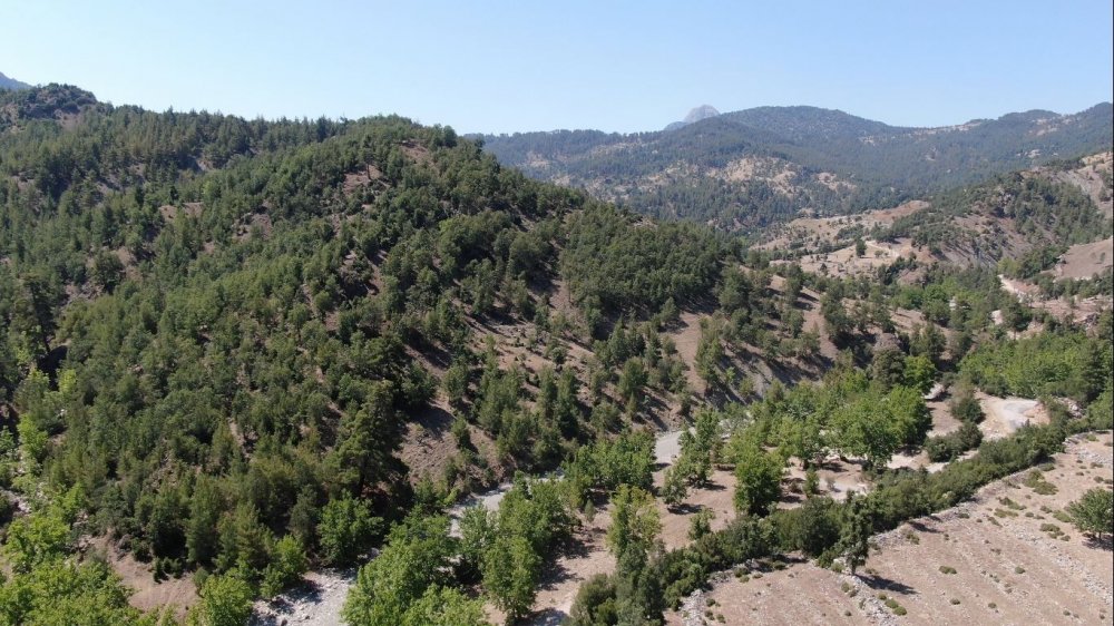 Konyaaltı'nda köylüler tehdit ve darpla ’Arazimize çökmek istiyorlar’ deyip sokağa döküldü