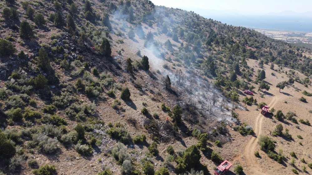 Konya'da ormanlık alanda çıkan yangın büyümeden döndürüldü