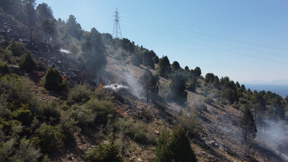 Konya'da ormanlık alanda çıkan yangın büyümeden döndürüldü