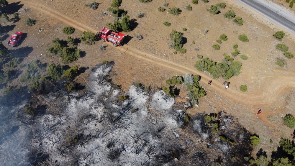 Konya'da ormanlık alanda çıkan yangın büyümeden döndürüldü
