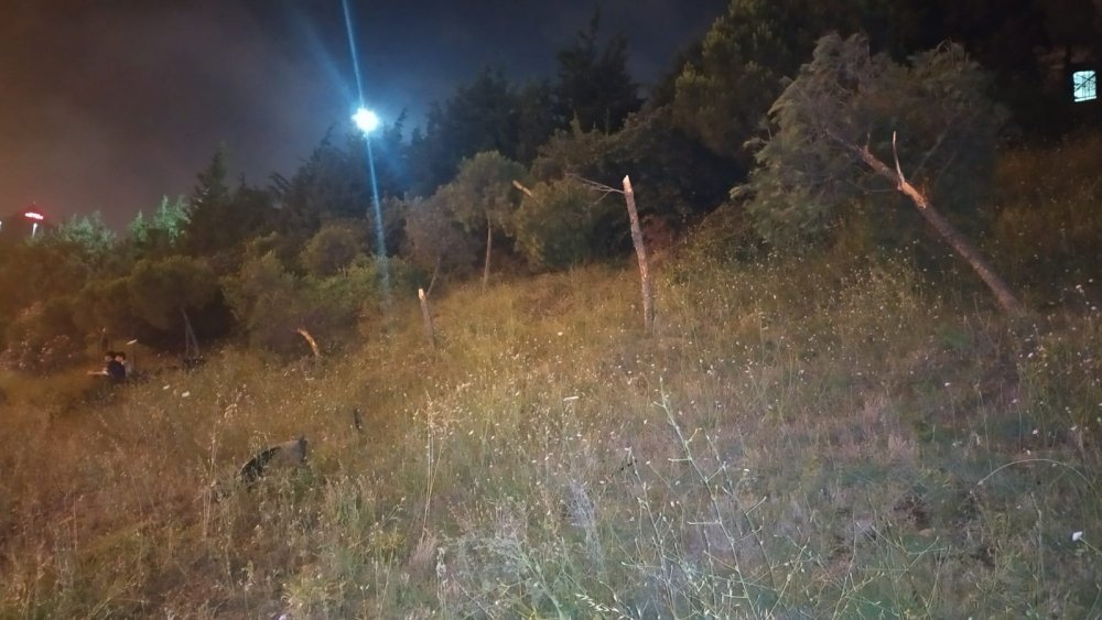 Otoyolda ağaçlık alana dalan otomobil defalarca takla attı! 1 yaralı