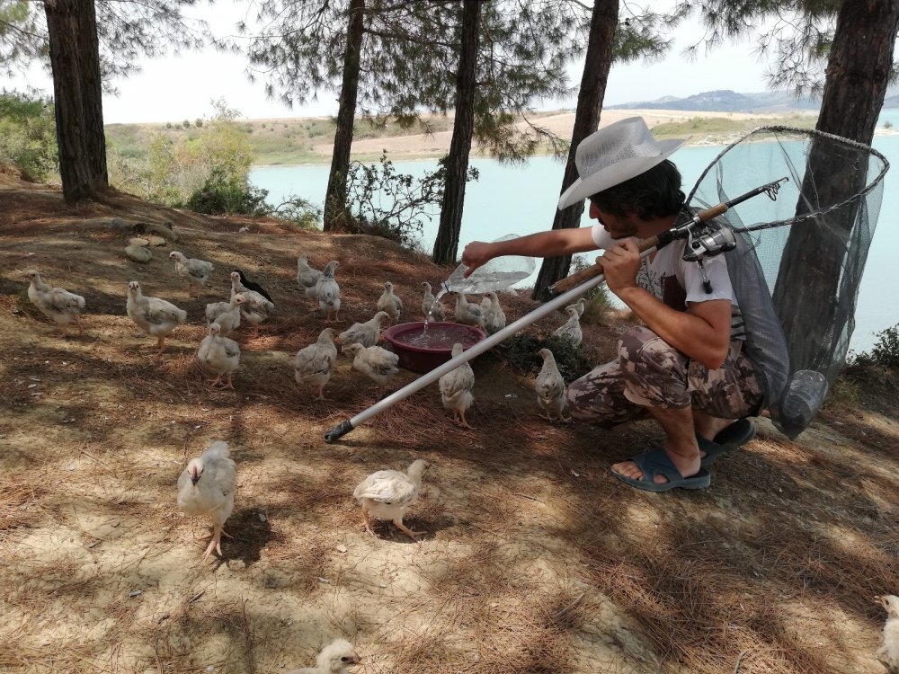 300 civcivi göl kenarında ölüme terk ettiler