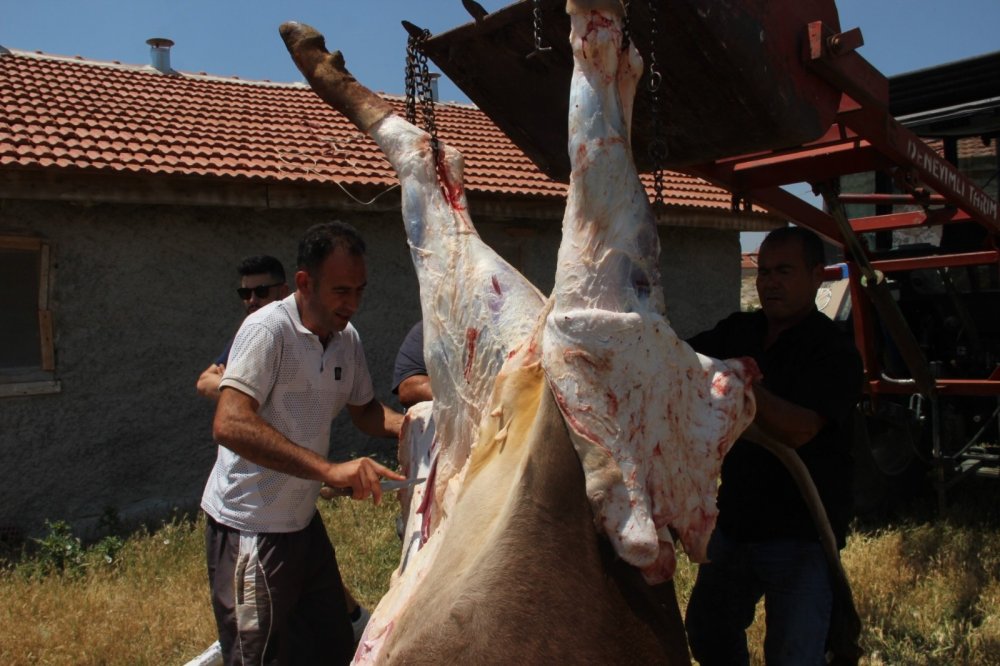 Derbent'te köy halkından örnek olacak kurban kesimi
