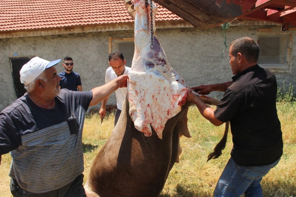 Derbent'te köy halkından örnek olacak kurban kesimi