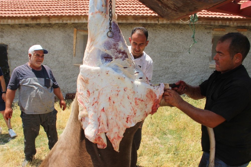 Derbent'te köy halkından örnek olacak kurban kesimi