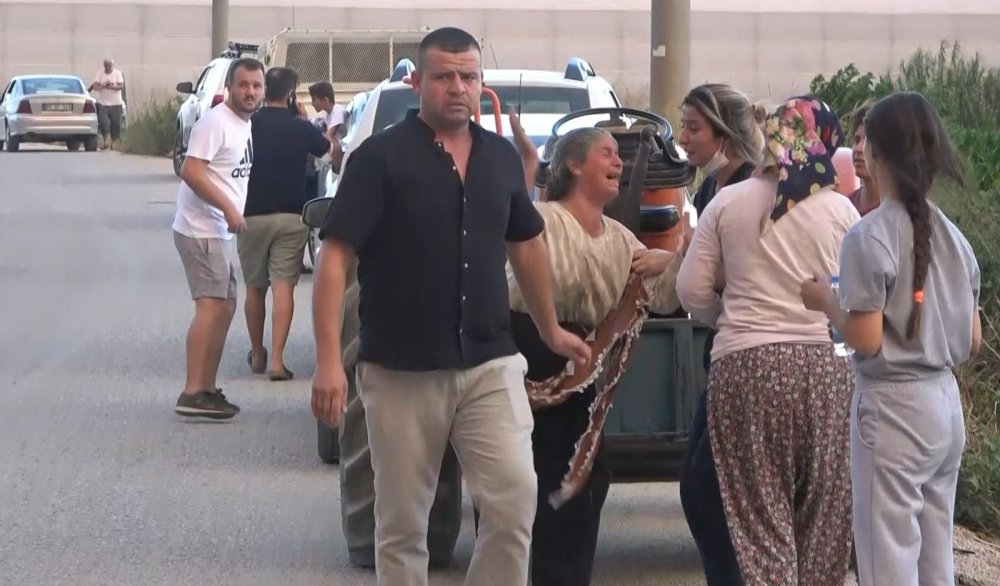 Manavgat'taki yangında sera ve ağaçları yanan kadınlar gözyaşlarına boğuldu