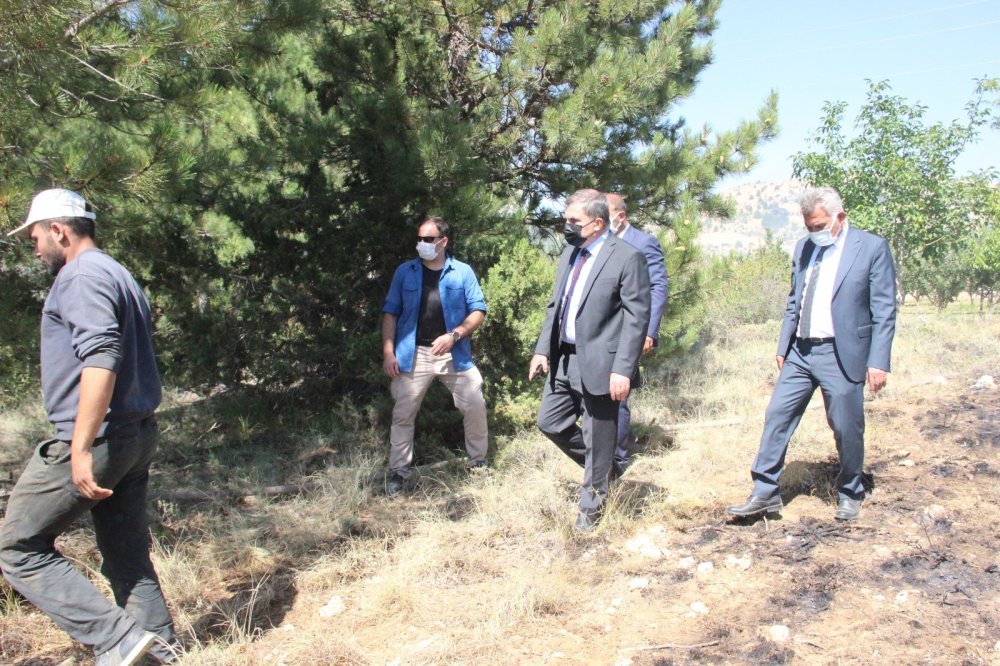 Karaman Sertavul Geçidi'nde yangın çıktı