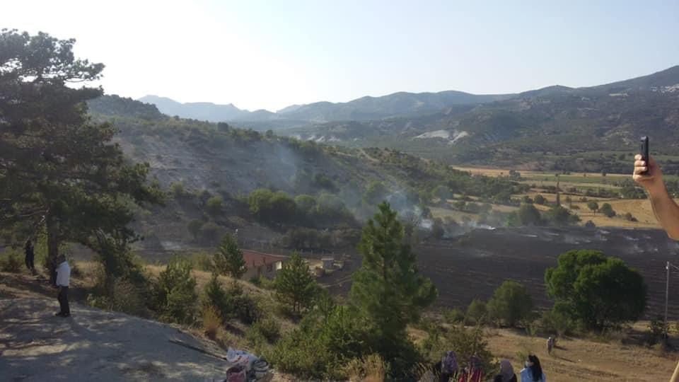 Ankara'da orman yangını