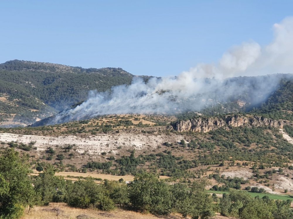 Ankara'da orman yangını