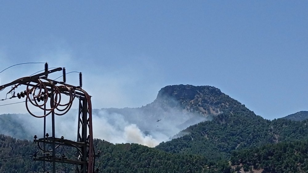 Kozan yangın bölgesinde yaralar sarılıyor