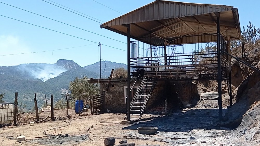 Kozan yangın bölgesinde yaralar sarılıyor