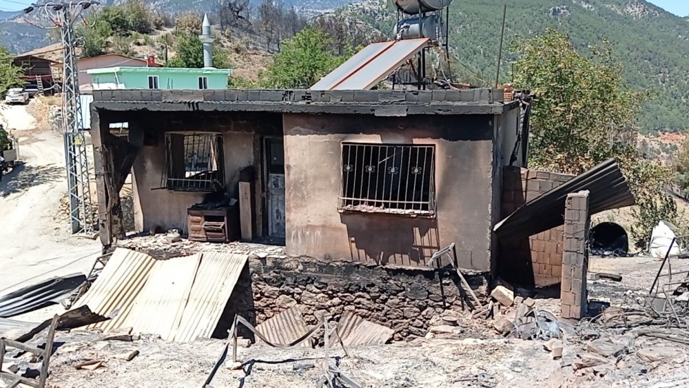 Kozan yangın bölgesinde yaralar sarılıyor