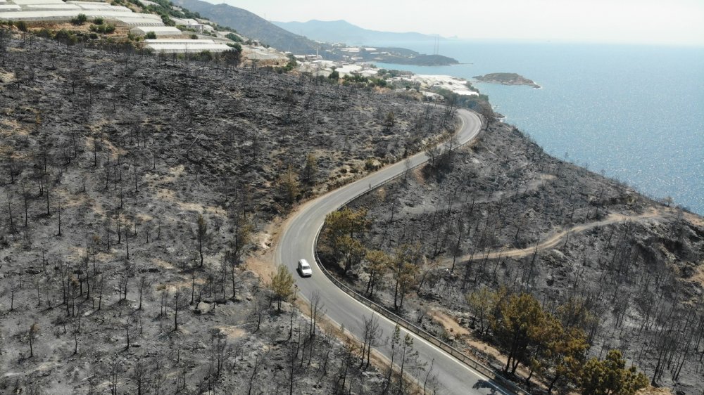Mersin Aydıncık'ta acı tablo! Yanan bölgeler havadan görüntülendi
