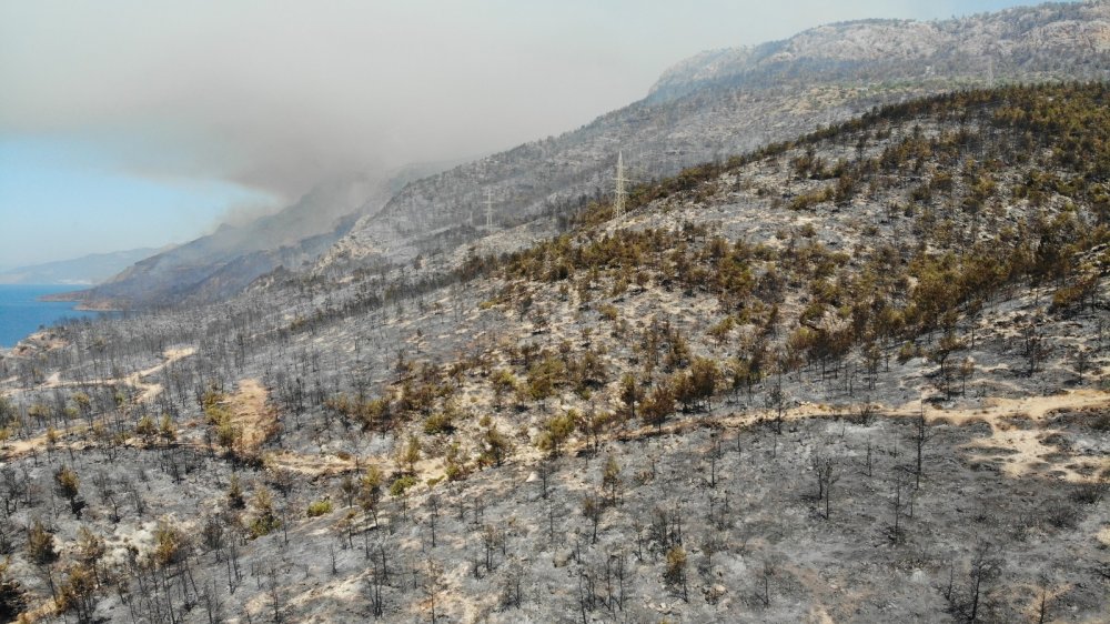 Mersin Aydıncık'ta acı tablo! Yanan bölgeler havadan görüntülendi