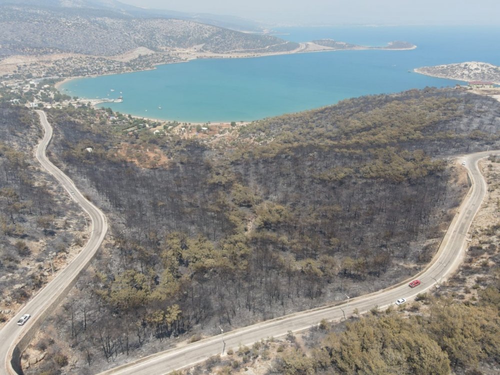 Silifke ormanları gün boyu yanmaya devam etti! Havadan ve karadan müdahale sürüyor