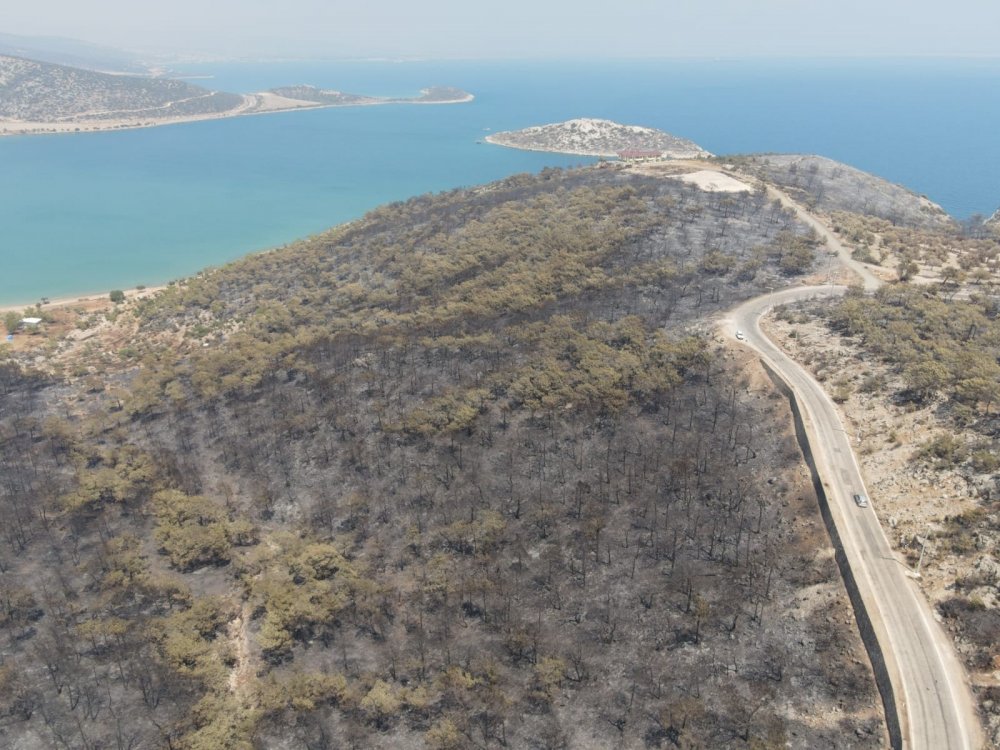 Silifke ormanları gün boyu yanmaya devam etti! Havadan ve karadan müdahale sürüyor