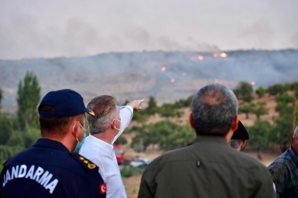 Nizip'te çıkan orman yangını kontrol altına alındı! Fıstık bahçeleri zarar gördü