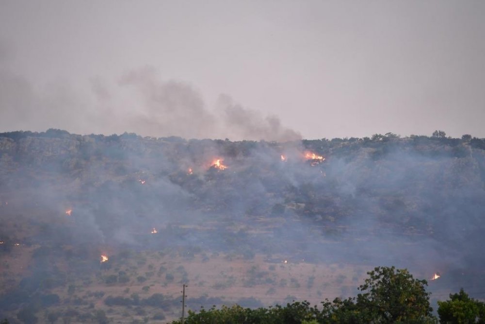 Nizip'te çıkan orman yangını kontrol altına alındı! Fıstık bahçeleri zarar gördü