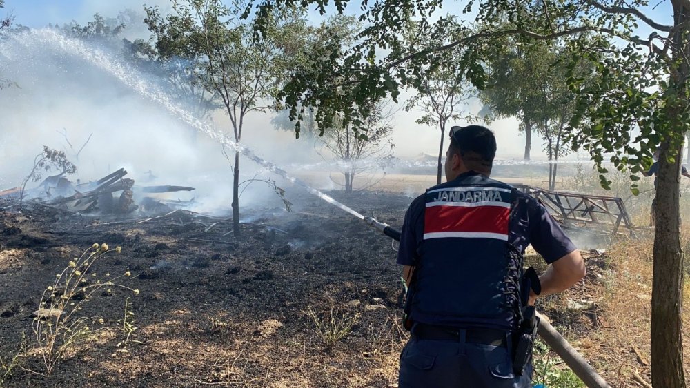 Afyon'da ağaçlık alanda yangın paniği! Termal köy alevlere teslim oluyordu