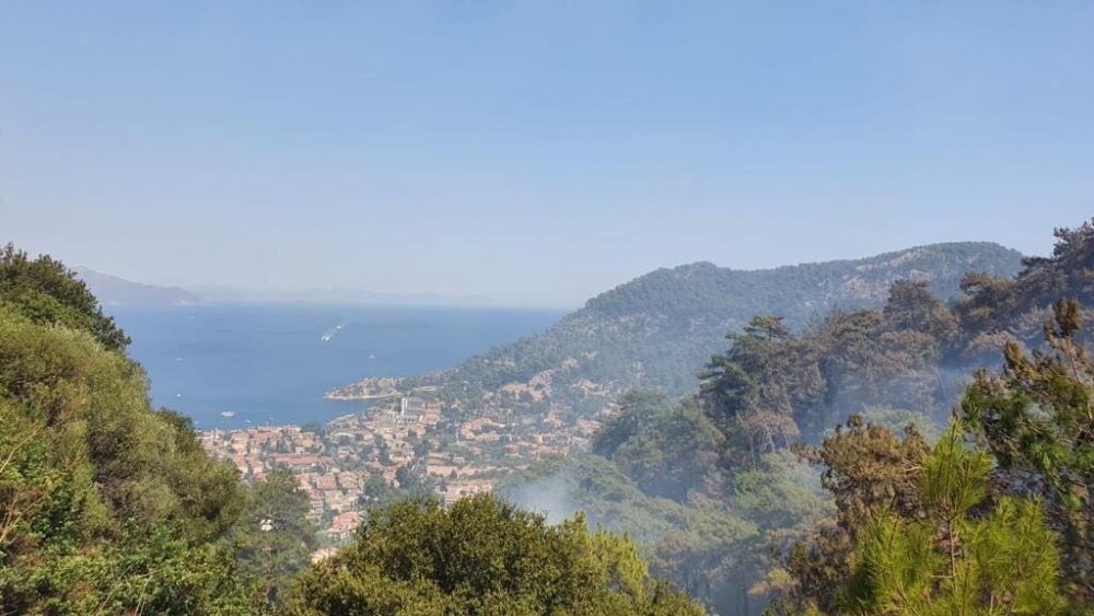 Milli Savunma Bakanlığı'nın iki çıkarma gemisi yangın bölgesinde