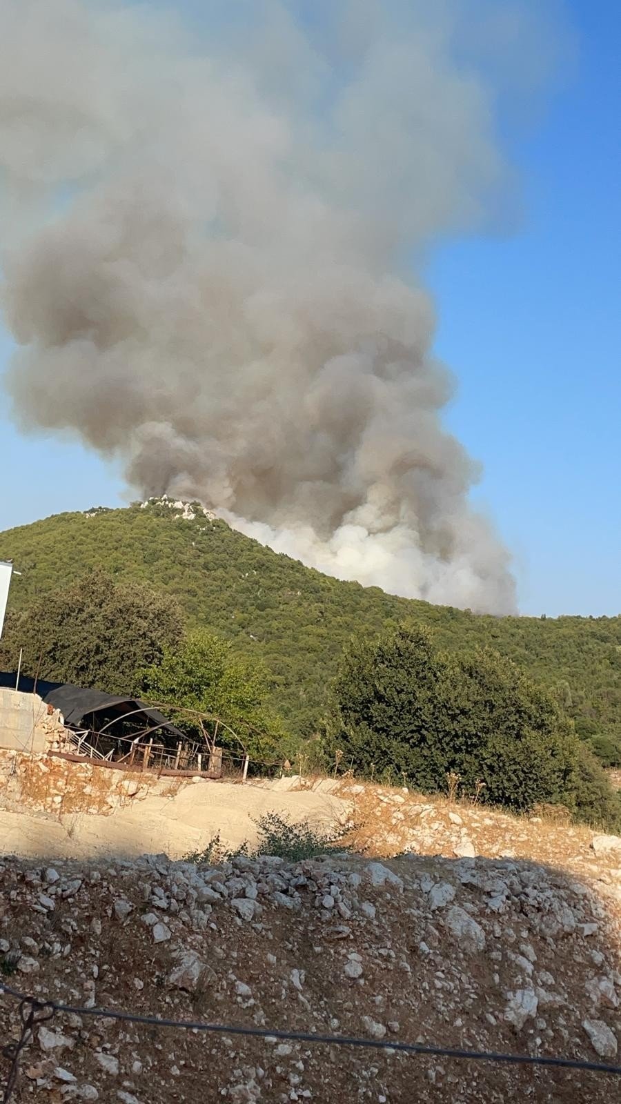 Antalya Demre’deki orman yangını söndürüldü! Sabaha kadar soğutulacak